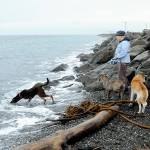 Thea Bey of Port Angeles watches as her dog, Thuja, tries to retrieve a stick from incoming waves on Ediz Hook in Port Angeles and her other dogs, Williwaw, center, and Lollie look on during Saturdays king tide on the Strait of Juan de Fuca. The astronomical high tide in Port Angeles on Saturday was 8.98 feet, prompting coastal flood advisories for most shorelines in Northwest Washington. The highest king tide on the North Olympic Peninsula was a predicted 10.9 feet Friday and Saturday at La Push. Port Townsends highest tide was on Christmas Day with an estimated 9.9 feet. High tides at Dungeness were 8.8 feet throughout the holiday weekend and including today. King tides will be seen again on the Peninsula beginning Jan. 21. (Keith Thorpe/Peninsula Daily News)
Photo by Keith Thorpe/Peninsula Daily News / Thea Bey of Port Angeles watches as her dog, Thuja, tries to retrieve a stick from incoming waves on Ediz Hook in Port Angeles and her other dogs, Williwaw, center, and Lollie look on during a king tide on the Strait of Juan de Fuca on Dec. 24. The astronomical high tide in Port Angeles was 8.98 feet, prompting coastal flood advisories for most shorelines in Northwest Washington. The highest king tide on the North Olympic Peninsula was a predicted 10.9 feet Friday and Saturday at La Push. High tides at Dungeness were 8.8 feet throughout the holiday weekend. King tides will be seen again on the Olympic Peninsula beginning Jan. 21.