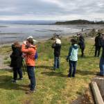 Photo courtesy of Dungeness River Nature Center / Attendees of a recent Olympic BirdFest enjoy a field trip at Dungeness Landing. Registration for the 2023 event is open now at OlympicBirdFest.org.