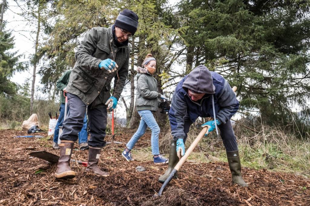 Photo courtesy of Charles Espey 
Volunteers help plant trees at a North Olympic Salmon Coalition work party near Discovery Bay.