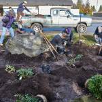 Photo courtesy Dan Mannisto/ BSA Scouts with Troop 90, led by Eagle Scout candidate Dean Rynearson, redid the Veterans Memorial Garden by the waterfall in Pioneer Memorial Park for Rynearsons Eagle badge project.