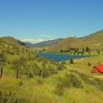 Submitted photo / Oh! Give me a Home by Hank Iszley, a featured artist at the Blue Whole Gallery in March.