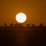 Photo by Suzanna Anya / Its a breathtaking morning view in Kenya for Suzanna Anya.
