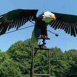 Photo courtesy Clallam County Sheriffs Office