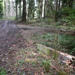 Sequim Gazette photo by Michael Dashiell / Robin Hill Farm County Park reopened on March 3 after a three-month closure to clear trails of fallen tees and debris.