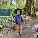 Brân McCord enjoys a Poetry Walk along the Peabody Creek trail west of Port Angeles in 2022.