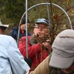 Sequim Gazette photo by Michael Dashiell / Bill Wood, center, demonstrates how to remove protective equipment from a tree at the Sequim Prairie Oak/Prairie Restoration Project site just north of Carrie Blake Park last week.