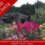 Artwork courtesy of Clallam County Master Gardeners / The Master Gardener Foundation of Clallam County Spring Plant Sale is set for May 6.