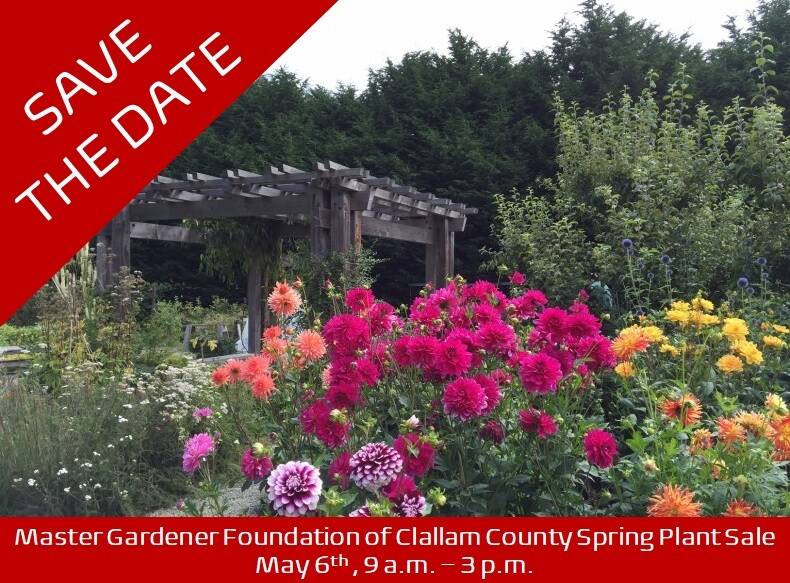 Artwork courtesy of Clallam County Master Gardeners / The Master Gardener Foundation of Clallam County Spring Plant Sale is set for May 6.