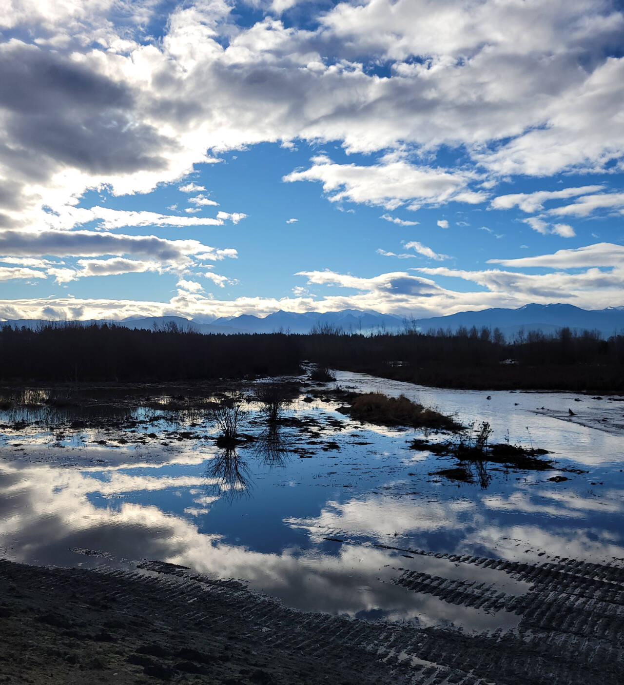 Photo courtesy of Suzanne Hadley/North Olympic Land Trust / The Olympic Mountains are reflected in high water in the new floodplain at the site of the levee setback project on the Dungeness River.