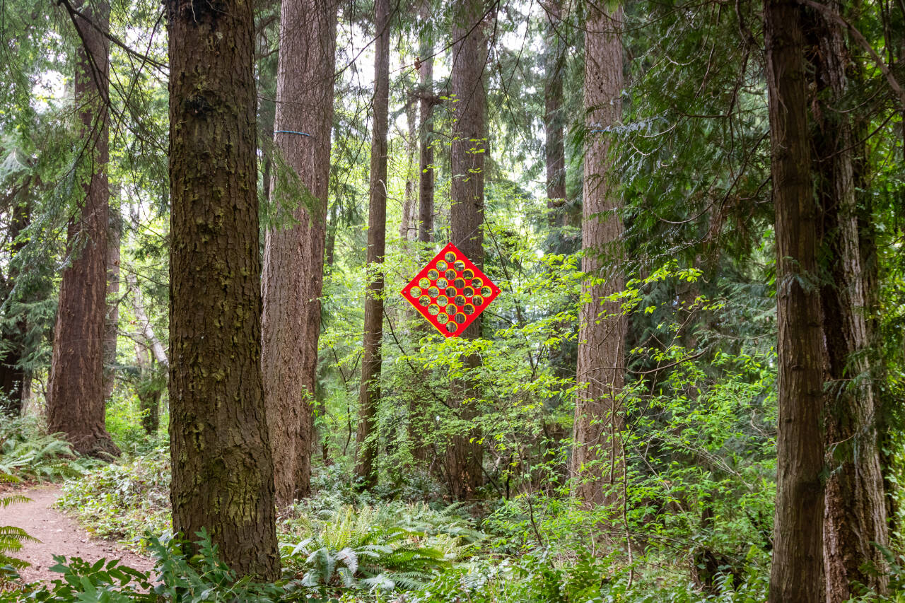 Photo courtesy of Port Angeles Fine Arts Center / "Untitled" by Gray Lucier