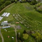 Photo by John Gussman/courtesy North Olympic Land Trust / Conservation advocates, along with local and state funding, have helped conserve the Dungeness Hub, a Sequim-area farm.