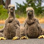 tsr Photo courtesy of Keith Ross, Keith's Frame of Mind/