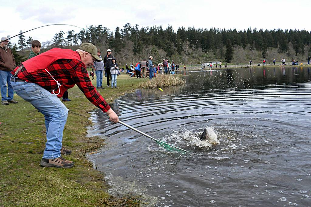 Sequim Gazette photo by Matthew Nash/ Volunteer Robert Wilson with the Puget Sound Anglers nets a trout for 11-year-old Paul Scheett at Kids Fishing Day.