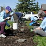 Joanne Meinzen with Sequim Community Church, left, and Kathy Schreiner, with both the church and Sequim Sunrise Rotary, work to clean out a flower bed at a home during the Sequim Beautiful Day event on April 29.
Sequim Gazette photo by Matthew Nash/ Joanne Meinzen with Sequim Community Church, left, and Kathy Schreiner, with both the church and Sequim Sunrise Rotary, work to clean out a flower bed at a home during the Sequim Beautiful Day event on April 29.