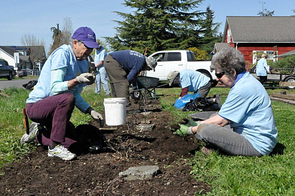 Joanne Meinzen with Sequim Community Church, left, and Kathy Schreiner, with both the church and Sequim Sunrise Rotary, work to clean out a flower bed at a home during the Sequim Beautiful Day event on April 29.
Sequim Gazette photo by Matthew Nash/ Joanne Meinzen with Sequim Community Church, left, and Kathy Schreiner, with both the church and Sequim Sunrise Rotary, work to clean out a flower bed at a home during the Sequim Beautiful Day event on April 29.