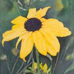 Artwork courtesy of Blue Whole Gallery / Susan by Jolene Sanborn, featured artwork at the Blue Whole Gallerys June 2023 exhibit, Picture This #26.