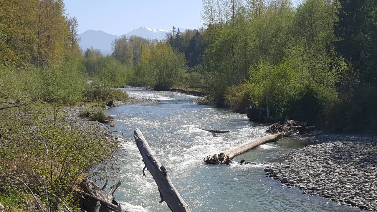 Photo courtesy of Ann Soule / Snowmelt helps fill the Dungeness River; Greywolf Ridge is pictured in the distance.