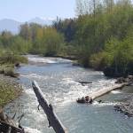 Photo courtesy of Ann Soule / Snowmelt helps fill the Dungeness River; Greywolf Ridge is pictured in the distance.