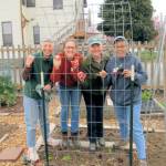 Photo by Paul Green / Learn the tricks necessary to produce vine-ripened tomatoes in the backyard with the Digging Deeper Educational Series event set for 10:30 a.m. Saturday, May 20 at the Woodcock Demonstration Garden. Presenting Grow Tomatoes Well on the North Olympic Peninsula, veteran Clallam County Master Gardeners (from left) Jeanette Stehr-Green, Laurel Moulton Jan Bartron and Audreen Williams will demonstrate a DIY cattle panel hoophouse to protect tomatoes in our areas cool climate. Six-millimeter plastic sheeting will be placed over the top and sides to trap heat and protect the developing plants.