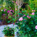 Photo courtesy of Master Gardener Foundation of Clallam County / Check out a half-dozen Sequim area home gardens, including the one pictured, at this years Petals & Pathways Home Garden Tour, set for 10 a.m.-4 p.m. on Saturday, June 24. Tickets are on sale now.