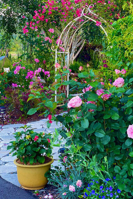 Photo courtesy of Master Gardener Foundation of Clallam County / Check out a half-dozen Sequim area home gardens, including the one pictured, at this years Petals & Pathways Home Garden Tour, set for 10 a.m.-4 p.m. on Saturday, June 24. Tickets are on sale now.