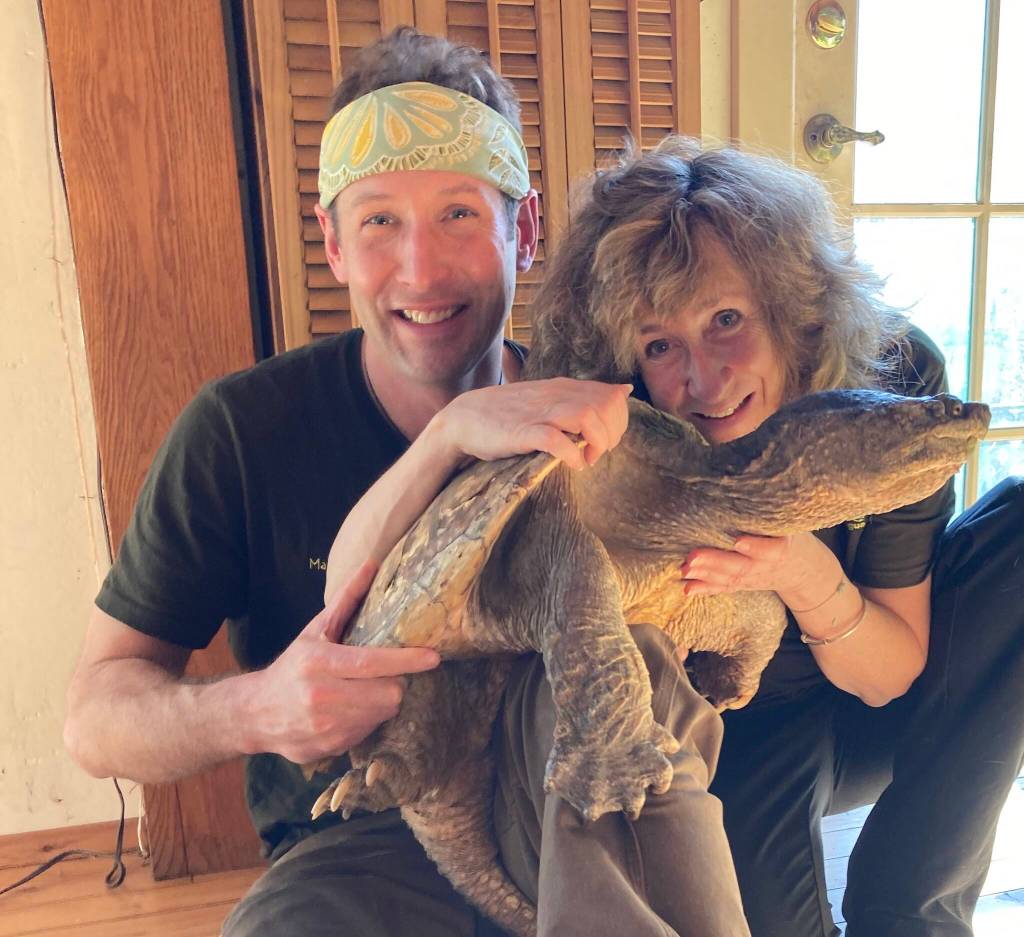 Photo courtesy of Sy Montgomery/Peninsula College
Illustrator Matt Patterson and PC Writer in Residence Sy Montgomery hold Fire Chief, the 42-pound wild snapping turtle. Montgomery is Peninsula Colleges 2023 Writer in Residence.