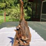 Photo courtesy of Olympic Driftwood Sculptors/ Olympic Driftwood Sculptors have worked on Reaching for the Sky as their raffle piece for their May 20-21 show to benefit a future peninsula student pursuing the arts.