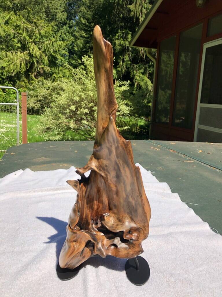 Photo courtesy of Olympic Driftwood Sculptors/ Olympic Driftwood Sculptors have worked on Reaching for the Sky as their raffle piece for their May 20-21 show to benefit a future peninsula student pursuing the arts.