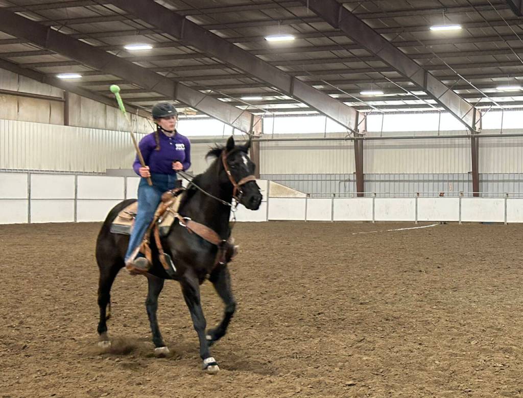 Photo courtesy of Katie Salmon-Newton / Sequims Paige Reed, on Maverick, places fourth in the steer daubing division at the Washington High School Equestrian Team state finals in Moses Lake.