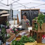 Sequim Gazette photo by Michael Dashiell
Several farms, including Tampopo Farm, bring fresh vegetables, flowers and more to the Sequim Farmers Market each Saturday through October.