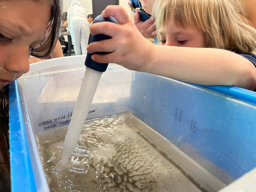 Sequim Gazette photo by Matthew Nash/
Second graders from Helen Haller Elementary search for small creatures they netted during a trip to the Dungeness River Nature Center.