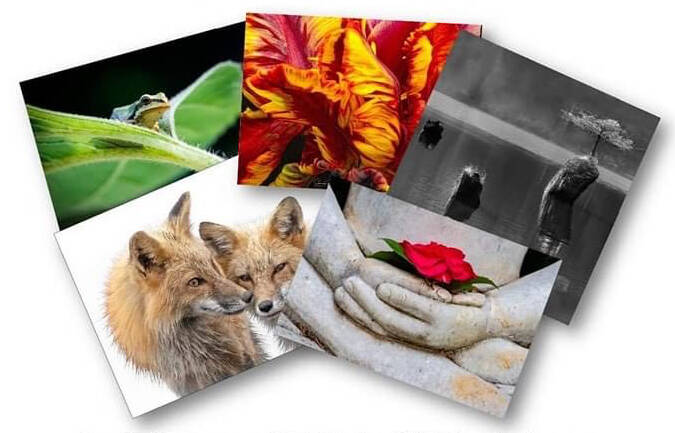 Photos courtesy of Olympic Peaks Camera Club
Check out the Olympic Peaks Camera Clubs A Photographic Journey exhibit at Sequim Museum & Arts through June 24.