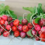 Photo courtesy of Sequim Farmers & Artisans Market 
Check out fresh spring radishes and much more at the Jembe Farms booth at the Sequim Farmers & Artisans Market on Saturdays.
