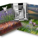 Photo courtesy of Olympic Peninsula Camera Club / The Olympic Peninsula Camera Clubs newest exhibit, A Photographic Journey II, runs June 28-July 29 at Sequim Museum & Arts.