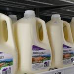 Photo by Michael Dashiell / Need some fresh milk? Check out Dungeness Valley Creamery at 1915 Towne Road in Sequim.