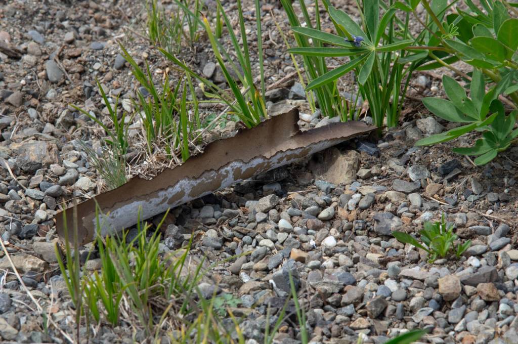 Sequim Gazette photo by Emily Matthiessen /