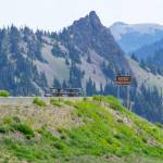 Sequim Gazette photo by Emily Matthiessen /