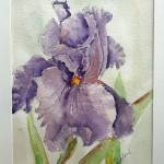 Artwork courtesy of Blue Whole Gallery / Purple Delight by Marilyn Hiestand, a featured artist at the Blue Whole Gallerys Creativity Comes in Many Forms exhibit in July.