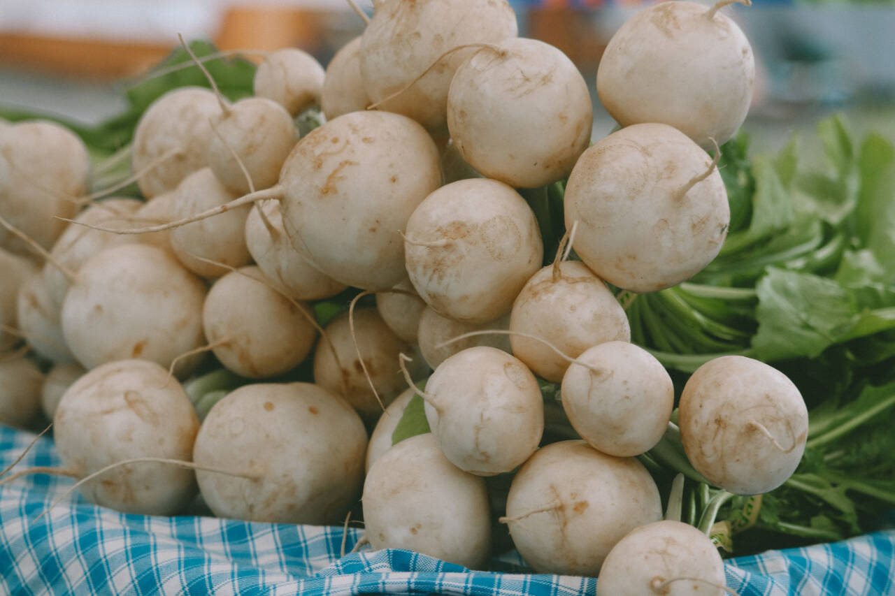 Photo courtesy of Sequim Farmers & Artisans Market (SFAM) / The edible green tops of turnips  pictured here at the River Run Farm booth at the Sequim Farmers & Artisans Market  should be separated from the root and stored separately for maximum freshness.