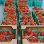 Photo courtesy of Sequim Farmers & Artisans Market (SFAM) / Strawberries from Joy Farm sparkle at the height of strawberry harvest season