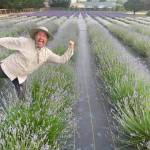 Photo courtesy Old Barn Lavender Company/ David Herbelin stands in the lavender field at Old Barn Lavender Company that is open for U-pick this summer.