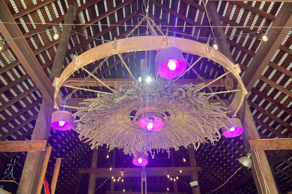 Sequim Gazette photo by Matthew Nash/ The Old Barn in Old Barn Lavender Company possibly dates back to 1910 for a cattle ranch, owners say.