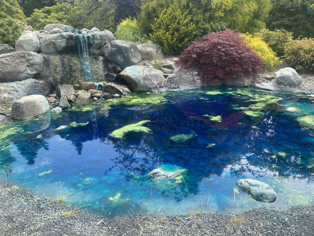 Sequim Gazette photo by Megan Rogers / Henry Lotzgesell donated money to the Sequim Prairie Garden Club in 1965 to help fund the building of the waterfall, which he dedicated to his late wife Hazel. The waterfall was later replaced.