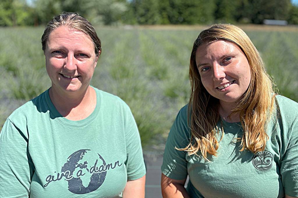 Sequim Gazette photo by Matthew Nash
Mother-daughter team Katina Hester and Ashley Reddicks opened their Gnomelicious Lavender Farm this summer for the first time to the public. They offer U-cut lavender, sweet pea seeds and an array of lavender products surrounded by a gnome aesthetic.