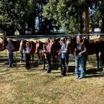 Photo courtesy of Katie Salmon-Newton / High-point winners receive their awards at the Horse Show and Fair Qualifier in early July.