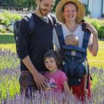 Sequim Gazette photo by Emily Matthiessen / A family from Olympia, Aaron, Rabi and their two children, enjoyed the last moments of the Lavender Festival at Kitty Bs Lavender on Sunday.