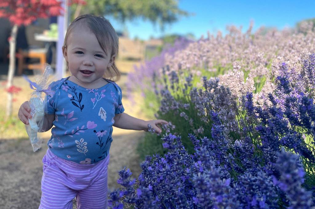 Sequim Gazette photo by Matthew Nash
Twenty-two-month old Alice Adams enjoys a visit to Melis Lavender with her great-grandma Barb Butcher on July 21. Butcher lives nearby and bought some soap for her family to enjoy.