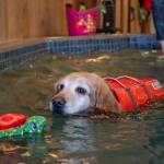 Photo by Emily Matthiessen