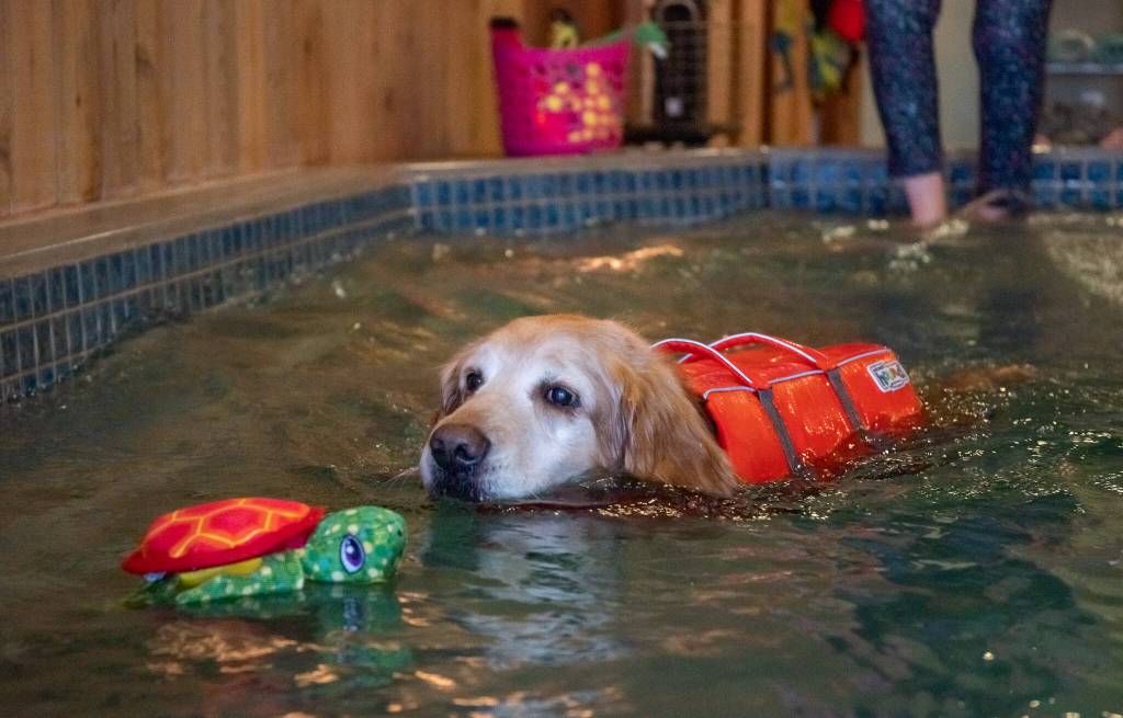 Photo by Emily Matthiessen