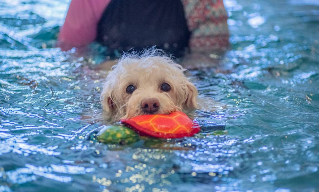 Photo by Emily Matthiessen